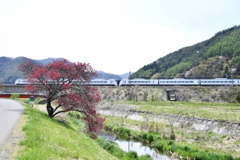 JR東日本E353系電車 あずさ(特急) 鉄道フォト・写真 by おなだいさん みどり湖駅：2021年04月24日12時ごろ