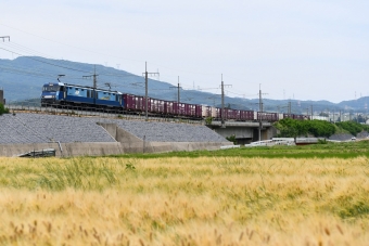JR貨物 EH200形 EH200-21 鉄道フォト・写真 by おなだいさん みどり湖駅：2021年06月11日12時ごろ