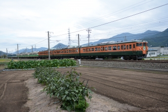 しなの鉄道115系電車 115系9両号 鉄道フォト・写真 by おなだいさん 戸倉駅：2018年09月23日14時ごろ