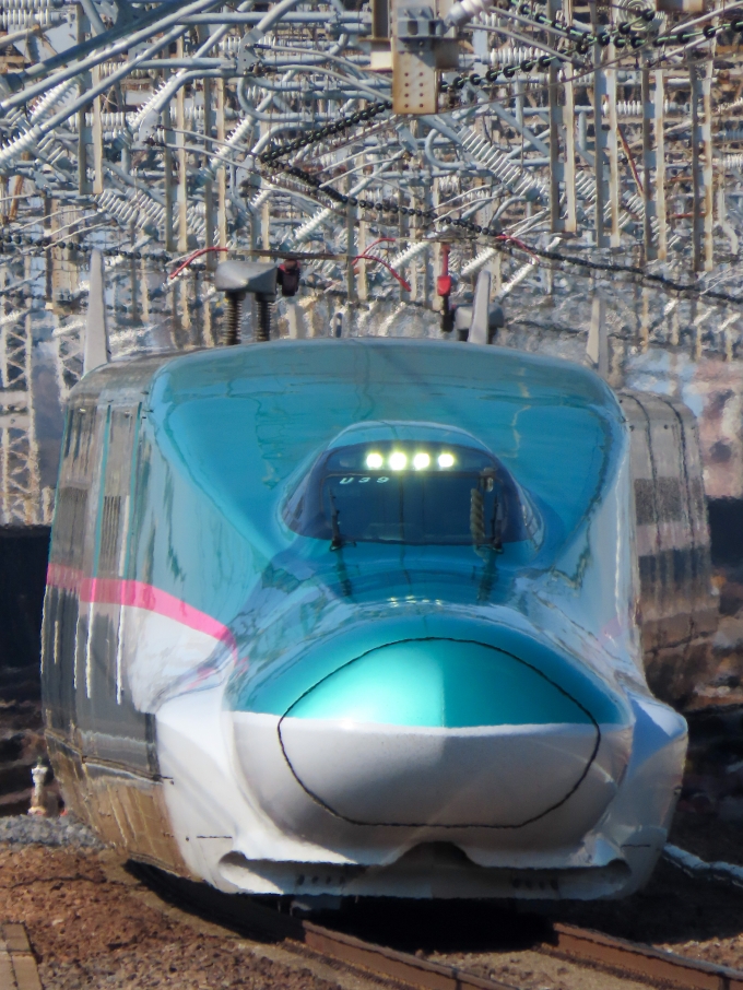 JR東日本 E523形(T1c) やまびこ(新幹線) E523-39 鉄道フォト・写真 by さんぜんさん 大宮駅 (埼玉県|JR)：2024年03月14日13時ごろ
