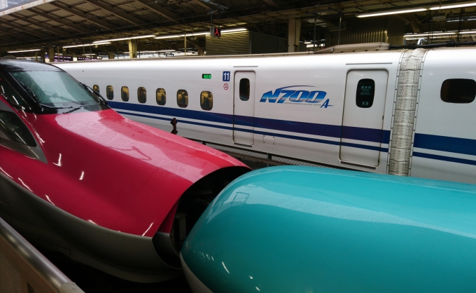 JR東海 N700系新幹線 こだま(新幹線) 鉄道フォト・写真 by ジョンドゥさん 東京駅 (JR)：2018年09月21日00時ごろ