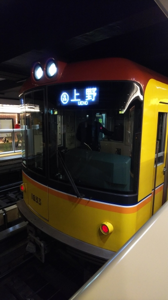 東京メトロ1000形 1033 鉄道フォト・写真 by 712Aさん 上野駅 (東京メトロ)：2018年11月07日19時ごろ