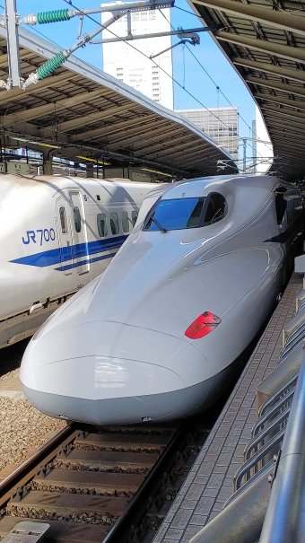 JR東海 783形 のぞみ(新幹線) 783-2016 鉄道フォト・写真 by 712Aさん 東京駅 (JR)：2018年12月31日13時ごろ