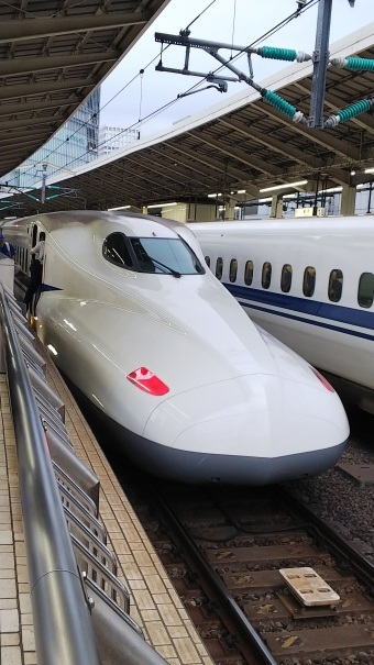 JR東海 783形(Tc) 783-2036 鉄道フォト・写真 by 712Aさん 東京駅 (JR)：2019年08月21日16時ごろ
