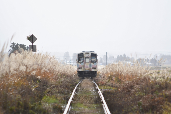 鉄道フォト・写真：山形鉄道YR-880形気動車 YR-882 羽前成田駅 鉄道フォト・写真 by papaさん - 撮影日 2020/11/21 11:53