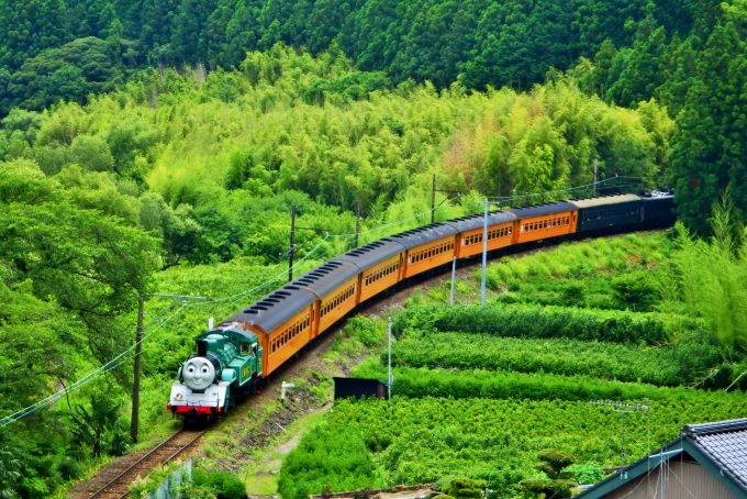 大和田 京阪】大和田駅を通過する電車を撮影してきた - YouTube