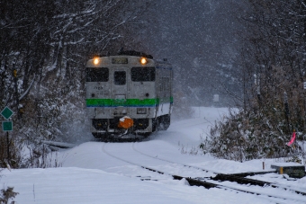 JR北海道 キハ40形 キハ40 1723 鉄道フォト・写真 by papaさん 金山駅 (北海道)：2023年12月14日14時ごろ