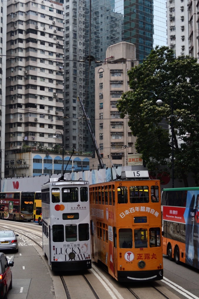 香港トラム（Hong Kong Tramways） 香港電車公司工場：第6世代車両 15 鉄道フォト・写真 by papaさん ：2024年04月11日09時ごろ