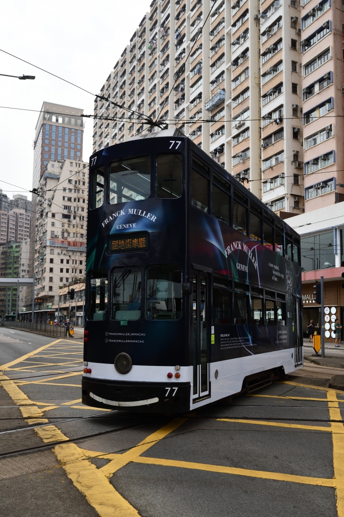 香港トラム（Hong Kong Tramways） 香港電車公司工場：第6世代車両 77 鉄道フォト・写真 by papaさん ：2024年04月11日10時ごろ