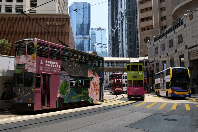 香港トラム（Hong Kong Tramways） 香港電車公司工場 153+86 鉄道フォト・写真 by papaさん ：2024年04月11日13時ごろ
