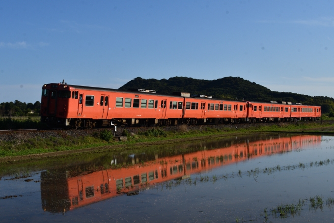 鉄道フォト・写真：JR西日本 国鉄キハ40系気動車 キハ47 1100 黒井村駅 鉄道フォト・写真 by papaさん - 撮影日 2024/06/13 07:15