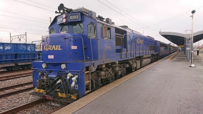 韓国鉄道公社 7300型ディーゼル機関車 ヘラン（HAERANG）号 7383 東海