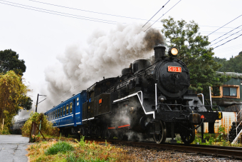 大井川鐵道 C10 8 (C10形) 車両ガイド | レイルラボ(RailLab)