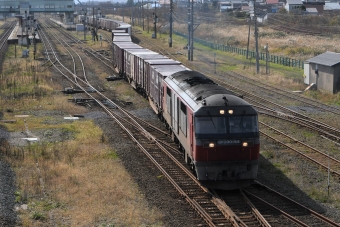 DF200-54 鉄道フォト・写真