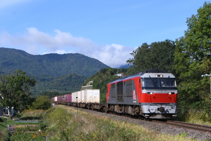 鉄道フォト・写真：JR貨物 DF200形ディーゼル機関車 DF200-63 富良野駅 鉄道フォト・写真 by papaさん - 撮影日 2020/09/22 09:01