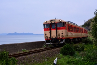 キハ66系 鉄道フォト・写真