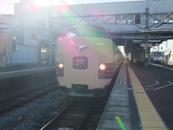 クハ381-1113 鉄道フォト・写真