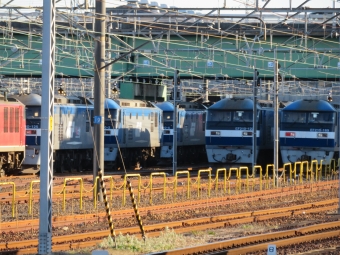 JR貨物EF210形電気機関車 EF210-169 鉄道フォト・写真 by kinokuniさん 稲沢駅：2019年01月03日15時ごろ