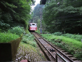 高野山ケーブル 鉄道フォト・写真