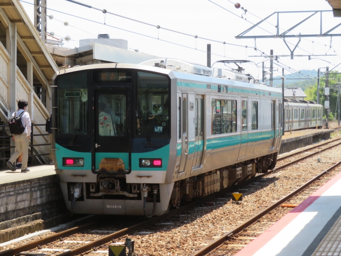 JR西日本 クモハ125形 クモハ125-9 鉄道フォト・写真 by kinokuniさん 粟生駅 (JR)：2022年05月29日12時ごろ