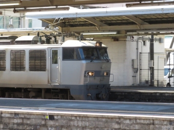JR貨物 EF510形 EF510-509 鉄道フォト・写真 by kinokuniさん 近江八幡駅 (JR)：2022年03月27日13時ごろ