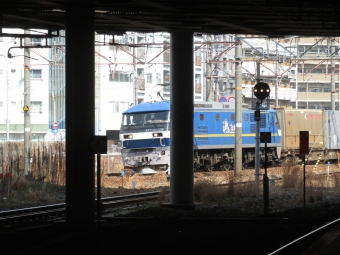 JR貨物 EF210形 桃太郎 EF210-338 鉄道フォト・写真 by kinokuniさん 新大阪駅 (JR)：2022年03月10日10時ごろ