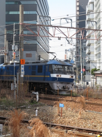 JR貨物 EF210形 桃太郎 EF210-319 鉄道フォト・写真 by kinokuniさん 新大阪駅 (JR)：2022年03月10日10時ごろ