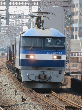 JR貨物 EF210形 桃太郎 EF210-114 鉄道フォト・写真 by kinokuniさん 野田駅 (JR)：2022年03月10日11時ごろ