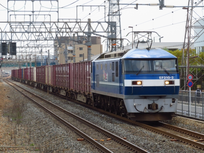 JR貨物EF210形電気機関車 桃太郎 EF210-2 桂川駅 (京都府) 鉄道フォト