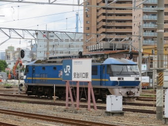 JR貨物 EF210形 桃太郎 EF210-310 鉄道フォト・写真 by kinokuniさん 安治川口駅：2022年07月23日09時ごろ