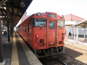 JR西日本 キハ47形 キハ47 64 鉄道フォト・写真 by kinokuniさん 津山駅：2021年03月26日12時ごろ