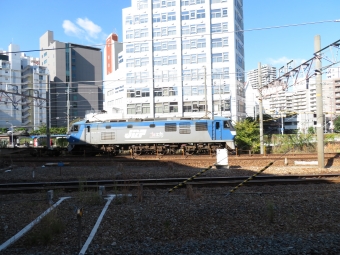 JR貨物 EF210形 桃太郎 EF210-160 鉄道フォト・写真 by kinokuniさん 新大阪駅 (JR)：2019年11月10日10時ごろ