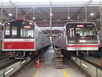 大阪メトロ 鉄道フォト・写真 by kinokuniさん なかもず駅：2019年05月03日14時ごろ