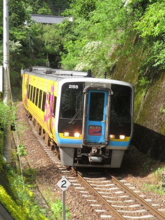 JR四国 2150形 あしずり(特急) 2155 鉄道フォト・写真 by kinokuniさん 窪川駅 (JR)：2023年05月20日14時ごろ