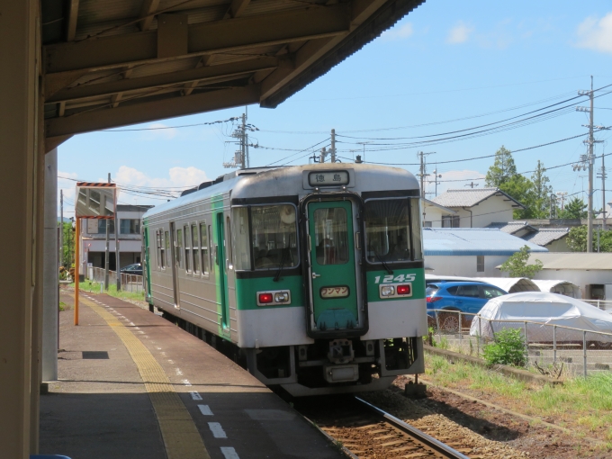 JR四国 1200形 1245 鉄道フォト・写真 by kinokuniさん 阿波中島駅：2023年07月29日13時ごろ
