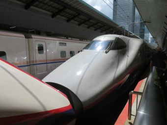 JR東日本 E224形(T2c) やまびこ(新幹線) E224-1121 鉄道フォト・写真 by kinokuniさん 東京駅 (JR)：2023年08月27日10時ごろ