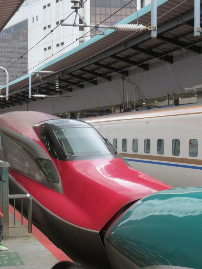 JR東日本 E611形(M1sc) こまち(新幹線) E611-17 鉄道フォト・写真 by kinokuniさん 東京駅 (JR)：2023年08月27日11時ごろ