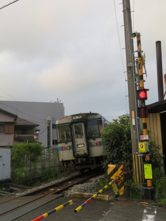 JR四国 1000形 1042 鉄道フォト・写真 by kinokuniさん 須崎駅：2023年09月16日17時ごろ