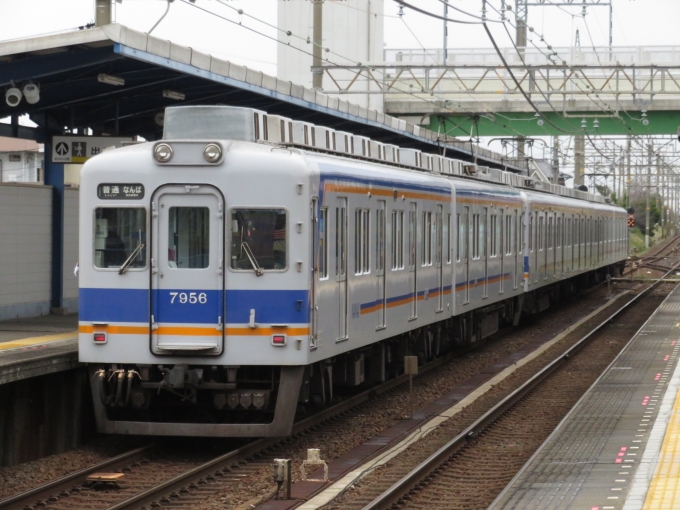 南海電鉄 南海7000系電車 7956 箱作駅 鉄道フォト・写真 by kinokuni