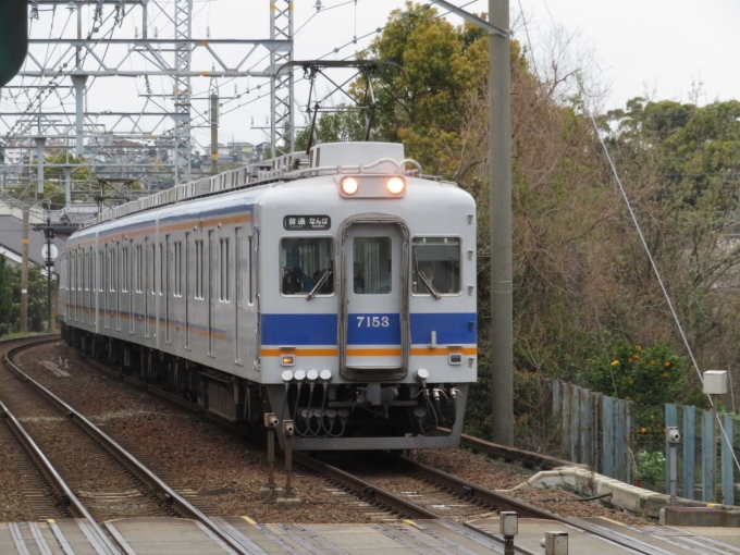 南海電鉄 南海7000系電車 7153 箱作駅 鉄道フォト・写真 by kinokuni