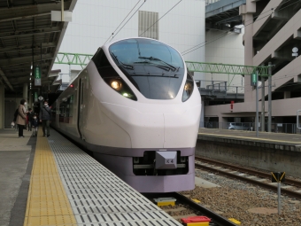 JR東日本E657系電車 クハE656形(T'c) ひたち(特急) クハE656-4 鉄道フォト・写真 by kinokuniさん 仙台駅 (JR)：2020年03月26日09時ごろ
