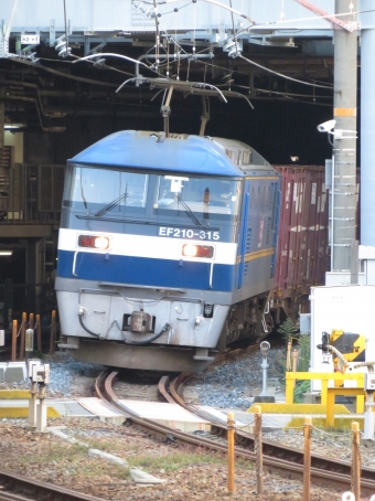 JR貨物 EF210形 EF210-315 鉄道フォト・写真 by kinokuniさん 新大阪駅 (JR)：2019年11月10日09時ごろ