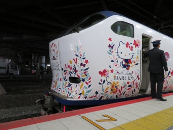 JR西日本 クハ281形 はるか(特急) クハ281-4 鉄道フォト・写真 by kinokuniさん 新大阪駅 (JR)：2019年11月10日09時ごろ