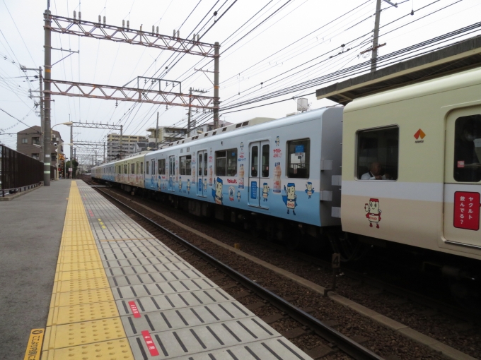 鉄道フォト・写真：南海電鉄 南海1000系電車(2代) 1102 沢ノ町駅 鉄道フォト・写真 by kinokuniさん - 撮影日 2020/06/27 09:44