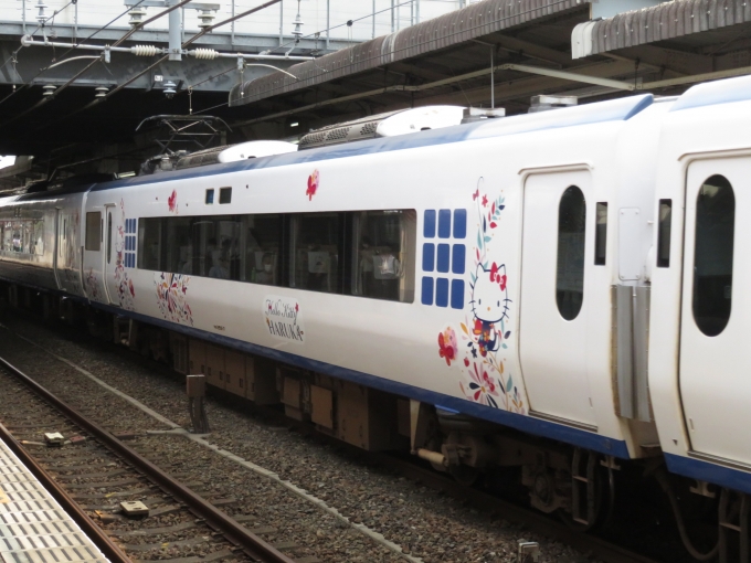 JR西日本 モハ281形 はるか(特急) モハ281-7 鉄道フォト・写真 by kinokuniさん 熊取駅：2020年08月08日09時ごろ