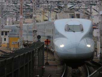 JR九州 N700系 のぞみ781号 鉄道フォト・写真 by ばりさくさん 新大阪駅 (JR)：2019年02月09日13時ごろ