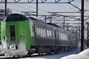 JR北海道 ライラック(特急) クハ789-105 鉄道フォト・写真 by mr.golfさん ：2024年03月04日15時ごろ