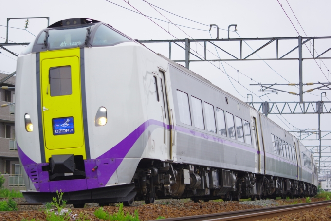 鉄道フォト・写真：JR北海道キハ261系気動車  おおぞら キハ261-1223 上白石橋 鉄道フォト・写真 by mr.golfさん - 撮影日 2024/06/22 15:32