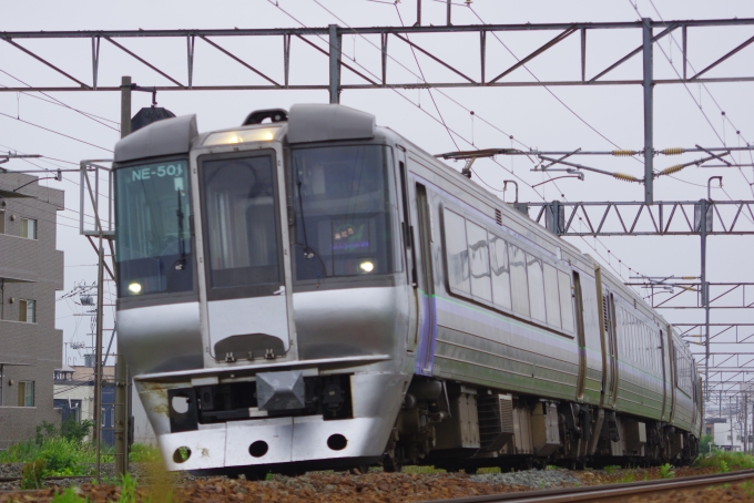 鉄道フォト・写真：JR北海道  すずらん クハ785-501 上白石橋 鉄道フォト・写真 by mr.golfさん - 撮影日 2024/06/22 15:07