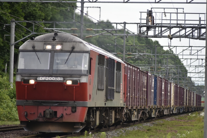 鉄道フォト・写真：JR貨物 DF200形ディーゼル機関車 DF200-8 東１号踏切 鉄道フォト・写真 by mr.golfさん - 撮影日 2024/06/30 14:35